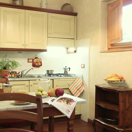 Studios Garden Terrace Oltrarno Флоренция Экстерьер фото