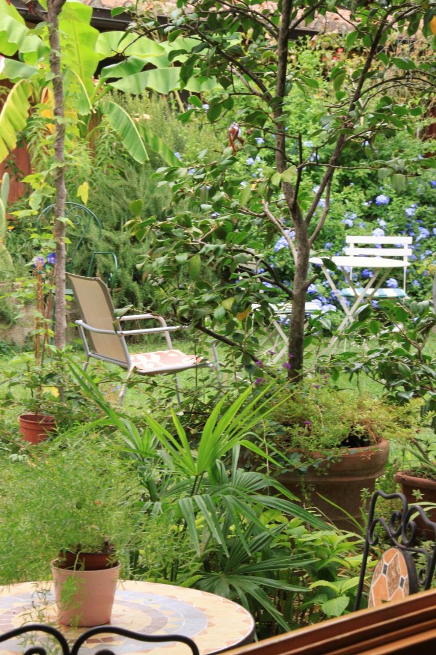Studios Garden Terrace Oltrarno Флоренция Экстерьер фото